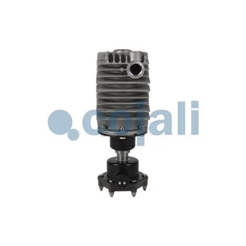Cojali 2480007